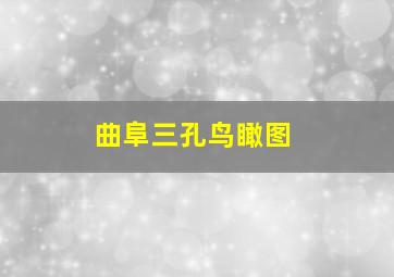 曲阜三孔鸟瞰图