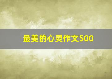 最美的心灵作文500