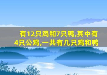 有12只鸡和7只鸭,其中有4只公鸡,一共有几只鸡和鸭