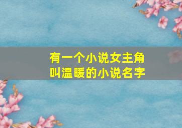 有一个小说女主角叫温暖的小说名字