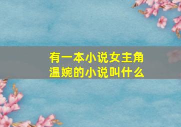 有一本小说女主角温婉的小说叫什么