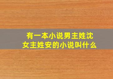 有一本小说男主姓沈女主姓安的小说叫什么