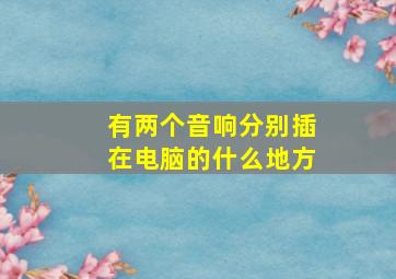 有两个音响分别插在电脑的什么地方