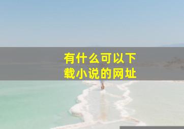 有什么可以下载小说的网址