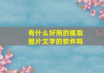 有什么好用的提取图片文字的软件吗