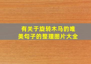 有关于旋转木马的唯美句子的整理图片大全