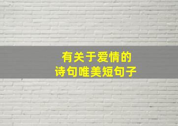 有关于爱情的诗句唯美短句子