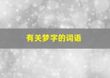 有关梦字的词语