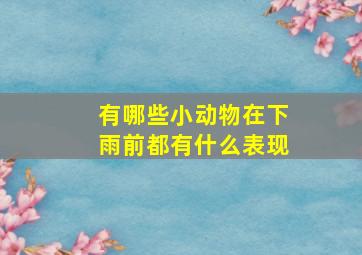 有哪些小动物在下雨前都有什么表现