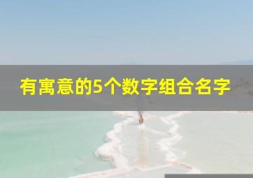 有寓意的5个数字组合名字