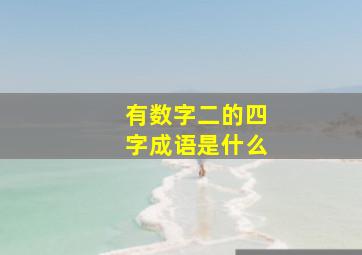 有数字二的四字成语是什么