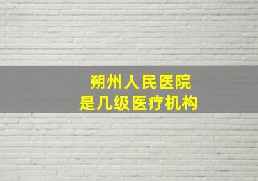 朔州人民医院是几级医疗机构