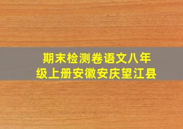 期末检测卷语文八年级上册安徽安庆望江县