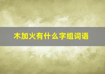 木加火有什么字组词语