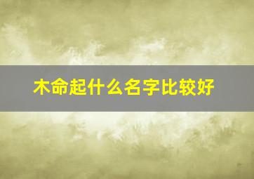 木命起什么名字比较好