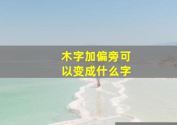 木字加偏旁可以变成什么字