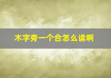 木字旁一个合怎么读啊