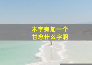 木字旁加一个甘念什么字啊