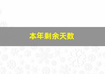 本年剩余天数