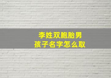 李姓双胞胎男孩子名字怎么取