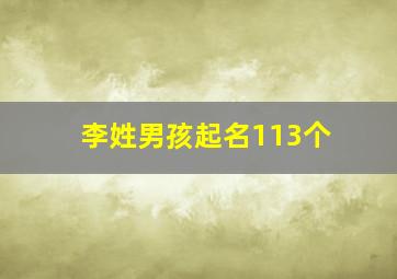 李姓男孩起名113个