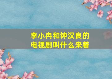 李小冉和钟汉良的电视剧叫什么来着