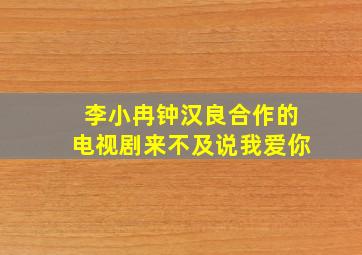 李小冉钟汉良合作的电视剧来不及说我爱你