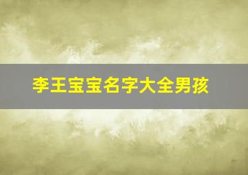 李王宝宝名字大全男孩