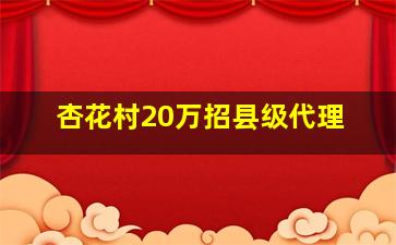 杏花村20万招县级代理