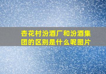 杏花村汾酒厂和汾酒集团的区别是什么呢图片