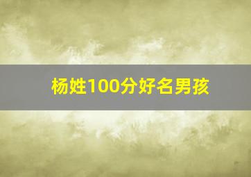 杨姓100分好名男孩