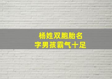 杨姓双胞胎名字男孩霸气十足