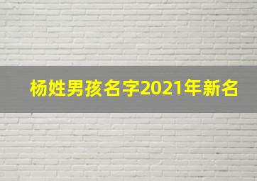 杨姓男孩名字2021年新名