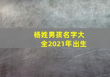 杨姓男孩名字大全2021年出生