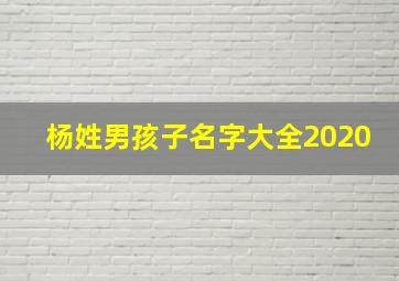 杨姓男孩子名字大全2020