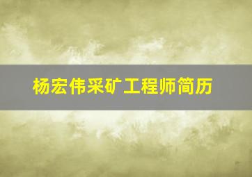 杨宏伟采矿工程师简历