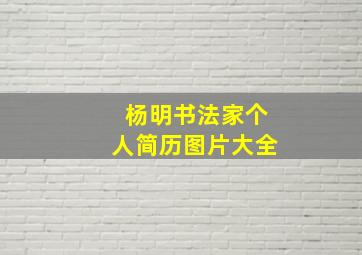 杨明书法家个人简历图片大全