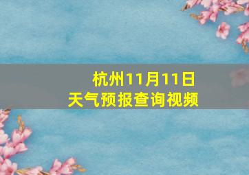 杭州11月11日天气预报查询视频