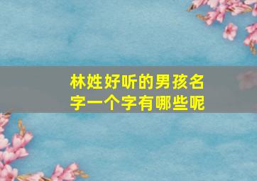 林姓好听的男孩名字一个字有哪些呢