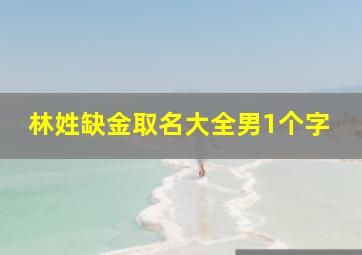 林姓缺金取名大全男1个字