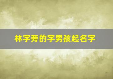 林字旁的字男孩起名字