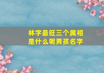 林字最旺三个属相是什么呢男孩名字