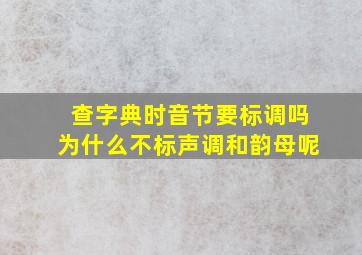 查字典时音节要标调吗为什么不标声调和韵母呢