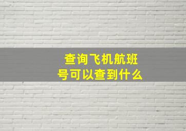 查询飞机航班号可以查到什么