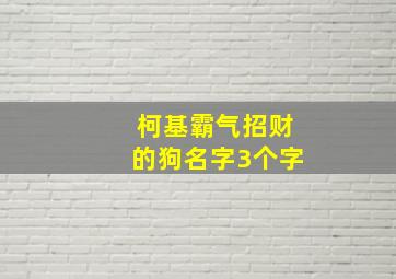 柯基霸气招财的狗名字3个字