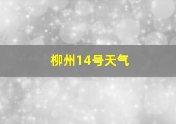 柳州14号天气