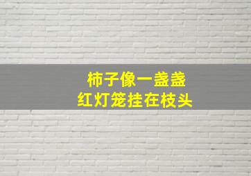 柿子像一盏盏红灯笼挂在枝头