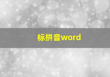 标拼音word