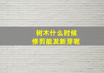 树木什么时候修剪能发新芽呢