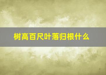 树高百尺叶落归根什么